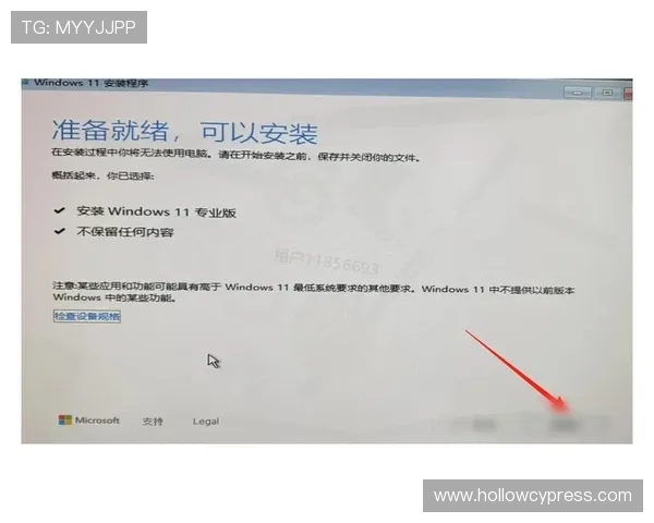 lt官网下载安装教程详细步骤指南，帮助用户轻松完成软件的下载安装流程